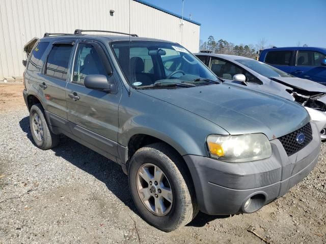 2007 Ford Escape XLT