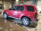 2010 Ford Escape Limited