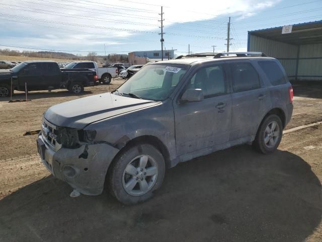 2010 Ford Escape Limited