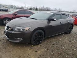 Salvage cars for sale at Louisville, KY auction: 2016 Nissan Maxima 3.5S