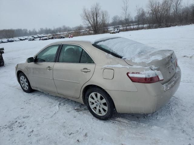 2007 Toyota Camry Hybrid