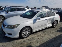 Salvage cars for sale at Antelope, CA auction: 2013 Honda Accord EXL