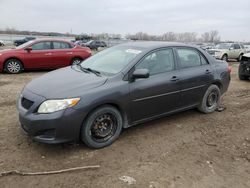 Salvage cars for sale at Kansas City, KS auction: 2010 Toyota Corolla Base