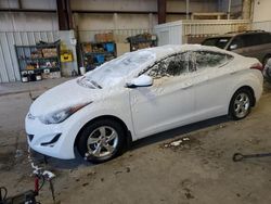 Salvage cars for sale at Arlington, WA auction: 2015 Hyundai Elantra SE