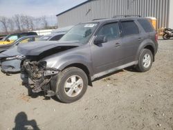 Salvage cars for sale at Spartanburg, SC auction: 2009 Ford Escape XLT