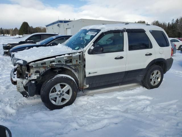 2006 Ford Escape HEV