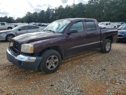 Run And Drives Cars for sale at auction: 2005 Dodge Dakota Quad SLT