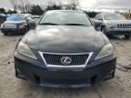 2012 Lexus IS 250