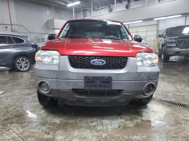 2005 Ford Escape XLT