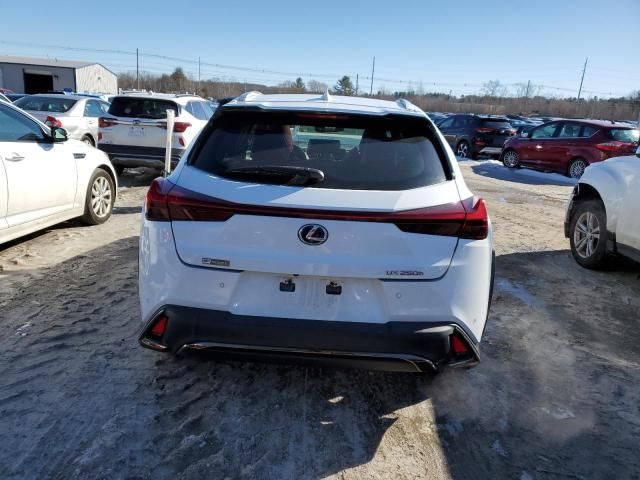 2019 Lexus UX 250H