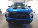 2024 Chevrolet Silverado K1500 Trail Boss Custom