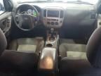 2007 Ford Escape XLT