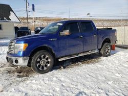 Salvage cars for sale at Northfield, OH auction: 2010 Ford F150 Supercrew