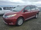 2013 Toyota Sienna XLE