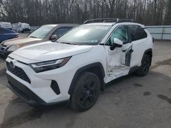 Carros salvage sin ofertas aún a la venta en subasta: 2023 Toyota Rav4 XLE