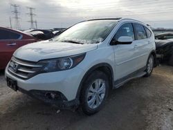 Salvage cars for sale at Elgin, IL auction: 2014 Honda CR-V EXL