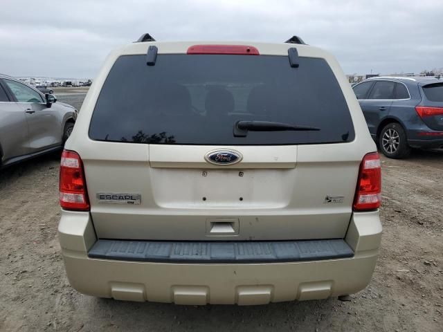 2010 Ford Escape XLT