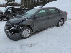 Salvage cars for sale at Montreal Est, QC auction: 2013 Toyota Corolla Base