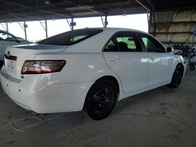 2010 Toyota Camry Hybrid