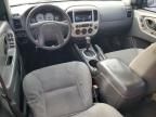 2007 Ford Escape XLT