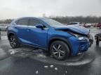 2019 Lexus NX 300 Base