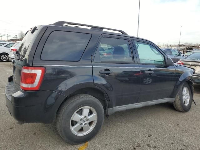 2009 Ford Escape XLT