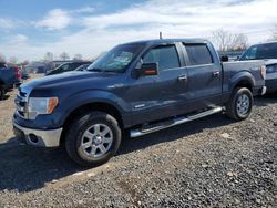 Salvage cars for sale at Hillsborough, NJ auction: 2013 Ford F150 Supercrew