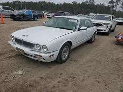 Salvage cars for sale at Greenwell Springs, LA auction: 1999 Jaguar Vandenplas