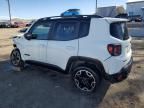 2017 Jeep Renegade Trailhawk