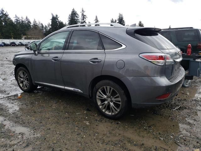 2014 Lexus RX 450H