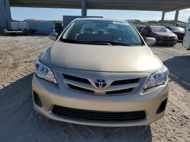 2011 Toyota Corolla Base