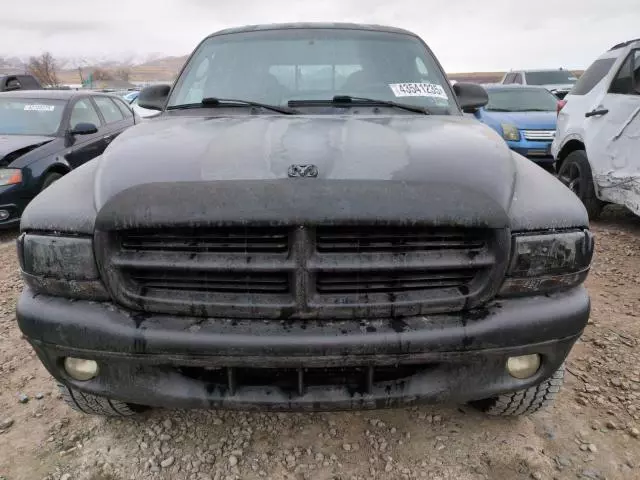 2000 Dodge Dakota Quattro