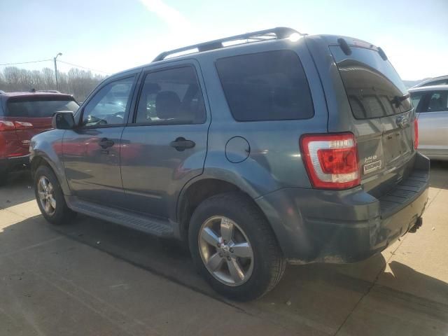 2010 Ford Escape XLT