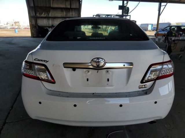 2010 Toyota Camry Hybrid