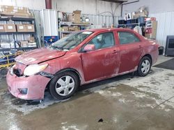 Toyota salvage cars for sale: 2010 Toyota Corolla Base