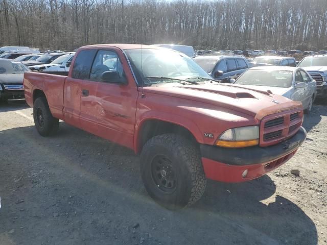 2000 Dodge Dakota