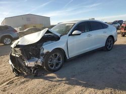 2023 Honda Accord EX en venta en Amarillo, TX