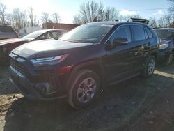 Salvage cars for sale at Baltimore, MD auction: 2023 Toyota Rav4 LE