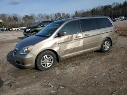 Run And Drives Cars for sale at auction: 2005 Honda Odyssey EXL