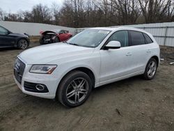 Salvage cars for sale at Windsor, NJ auction: 2013 Audi Q5 Premium Plus