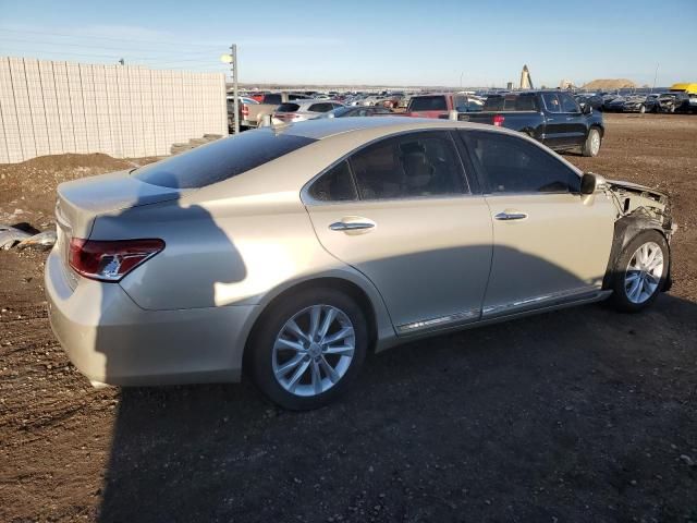 2010 Lexus ES 350