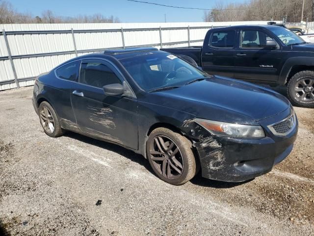 2009 Honda Accord EXL