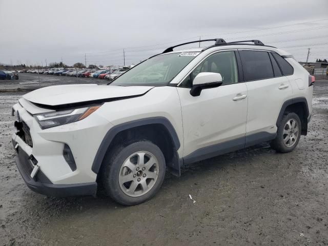 2022 Toyota Rav4 XLE Premium