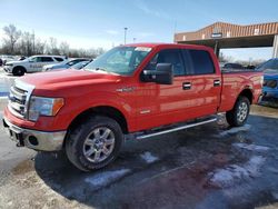 Salvage cars for sale at Fort Wayne, IN auction: 2013 Ford F150 Supercrew