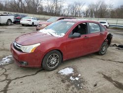 Salvage cars for sale at Ellwood City, PA auction: 2010 Ford Focus SE