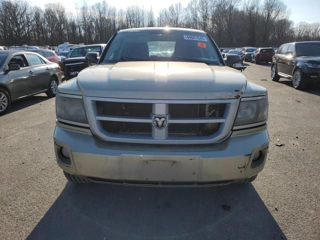 2011 Dodge Dakota SLT