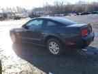 2009 Ford Mustang