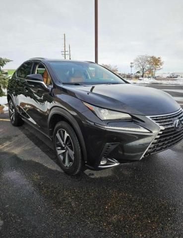 2020 Lexus NX 300H