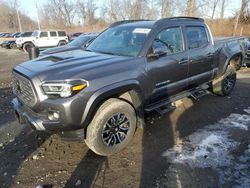 2023 Toyota Tacoma Double Cab en venta en Marlboro, NY