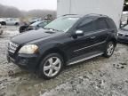 2009 Mercedes-Benz ML 350